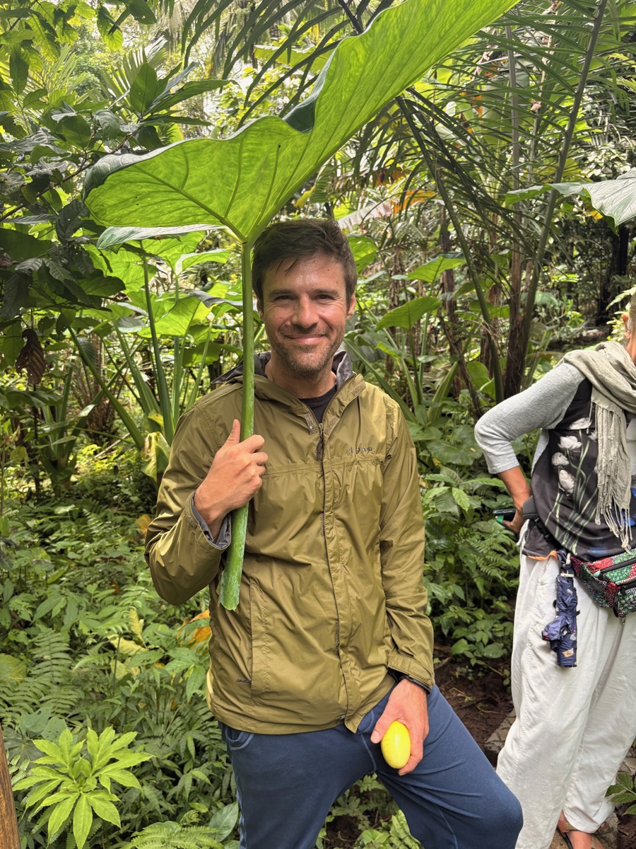 Wild Jungle Foraging